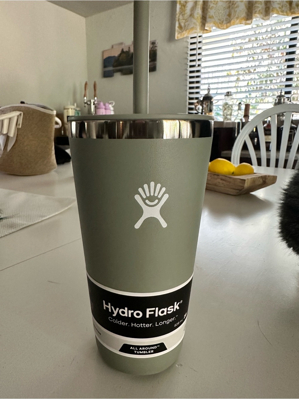 Hydro Flask Sage Green All-Around Tumbler with Straw